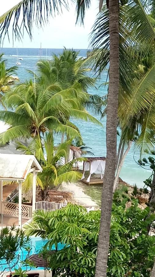 Grand Studio Les Pieds Dans L'Eau, Centre Ville Le Gosier  Exterior foto