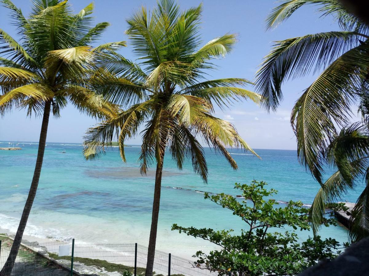 Grand Studio Les Pieds Dans L'Eau, Centre Ville Le Gosier  Exterior foto